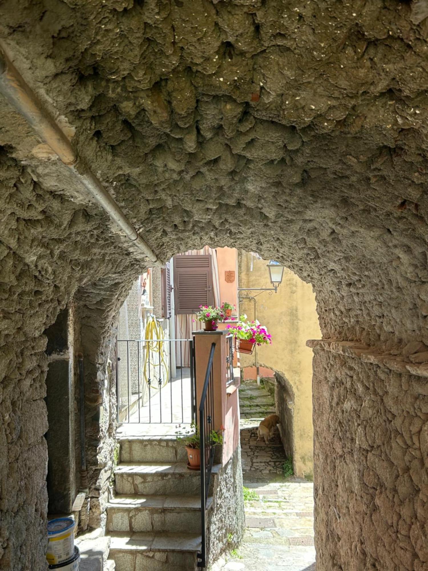 شقة Ca De Igiu-Biassa-Cinque Terre المظهر الخارجي الصورة